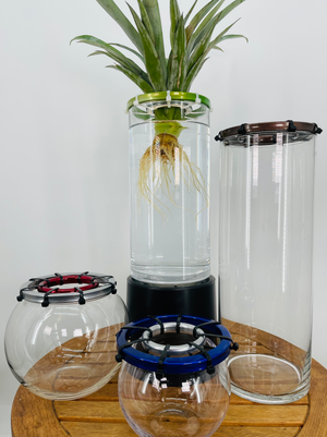 Plant Daddy Glass Containers