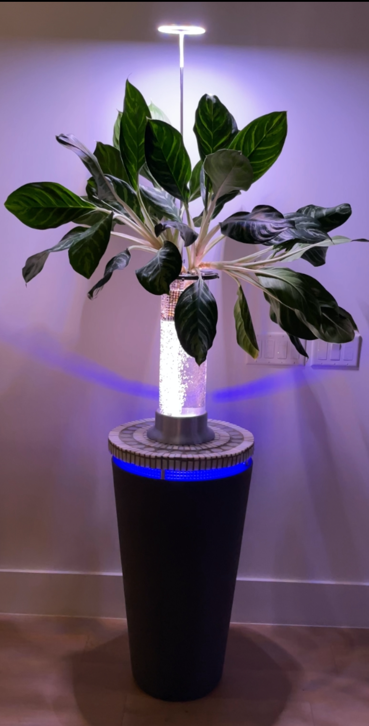 Hydro Garden Nightly Rental or Monthly Corporate Service