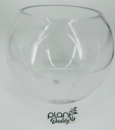 Plant Daddy Glass Bubble Bowl 12in Diameter - 10in Height