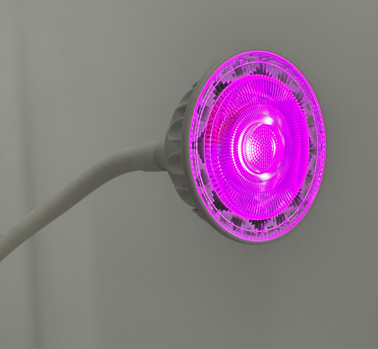 Plant Daddy LED Free Standing Plant Light With Timer, 21 Inch and 28 Inch, 3 - light modes, Dimmer