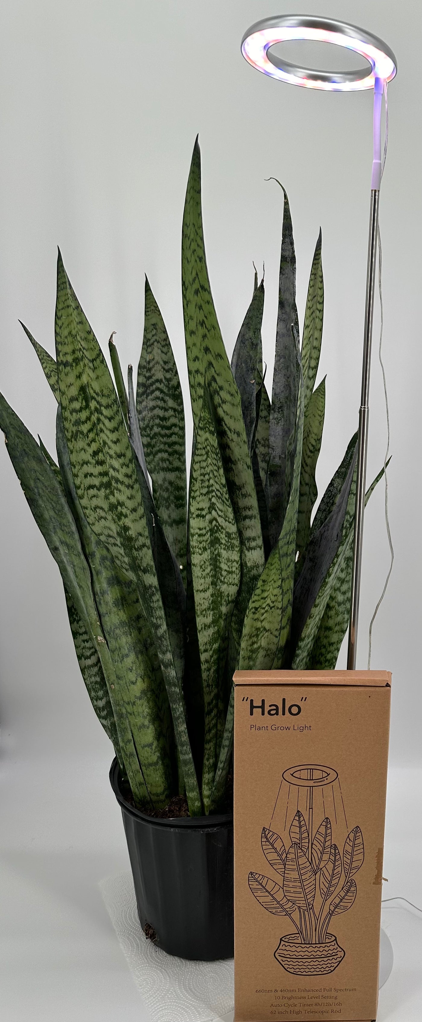 HALO LED Plant Light Up To 62in Has Timer And Dimmer Full Spectrum Free Standing