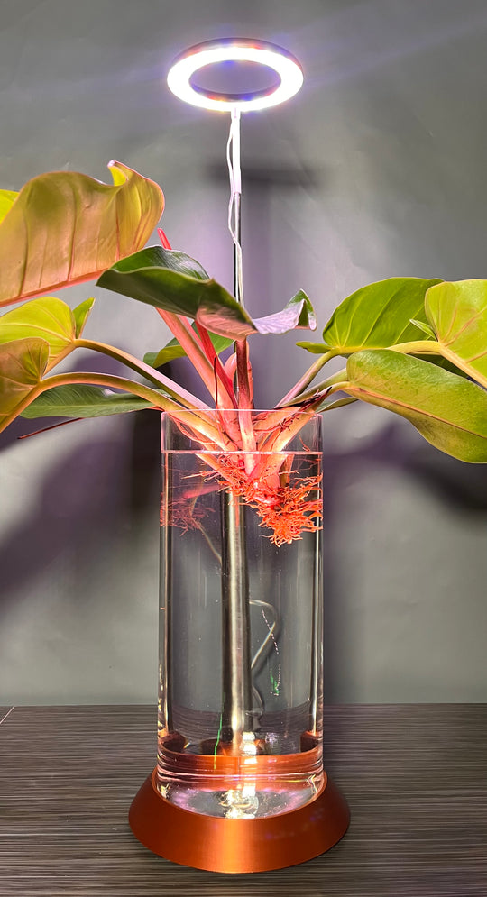 NEW! Plant Daddy G2 Base-Hydro light or with (optional) overhead light   Free Freight