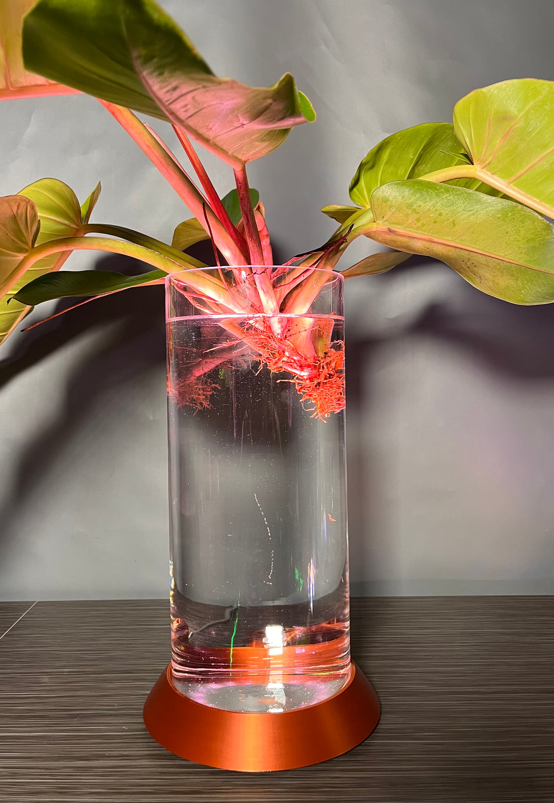 NEW! Plant Daddy G2 Base-Hydro light or with (optional) overhead light   Free Freight