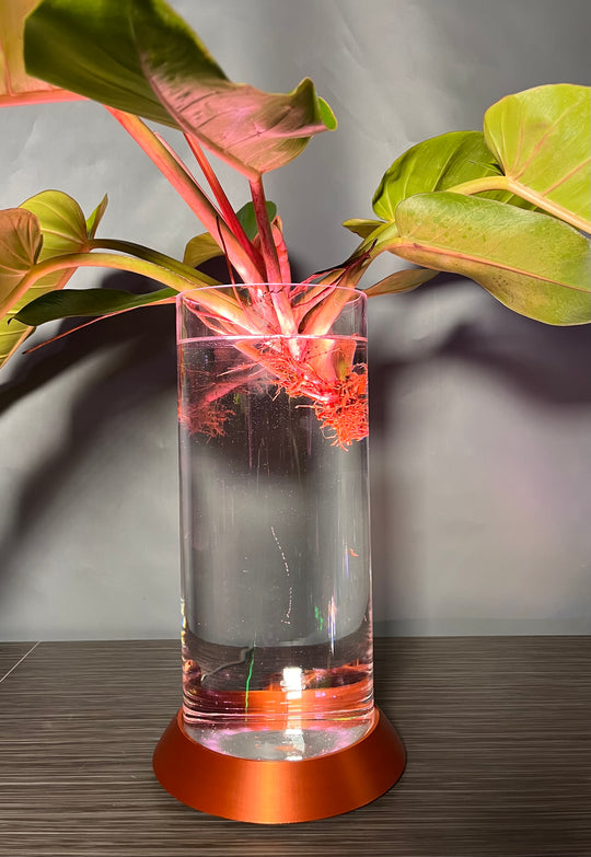 NEW! Plant Daddy G2 Base-Hydro light or with (optional) overhead light   Free Freight