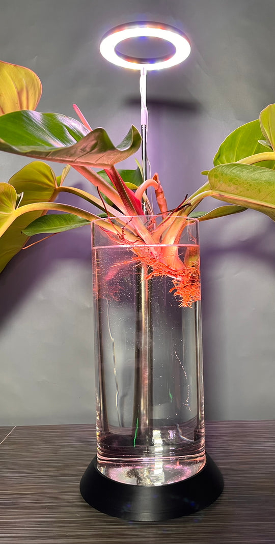 NEW! Plant Daddy G2 Base-Hydro light or with (optional) overhead light   Free Freight