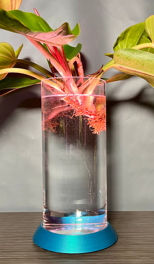 NEW! Plant Daddy G2 Base-Hydro light or with (optional) overhead light   Free Freight