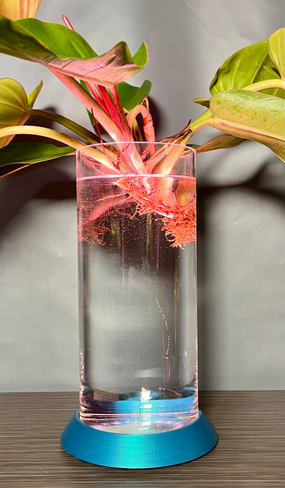 NEW! Plant Daddy G2 Base-Hydro light or with (optional) overhead light   Free Freight