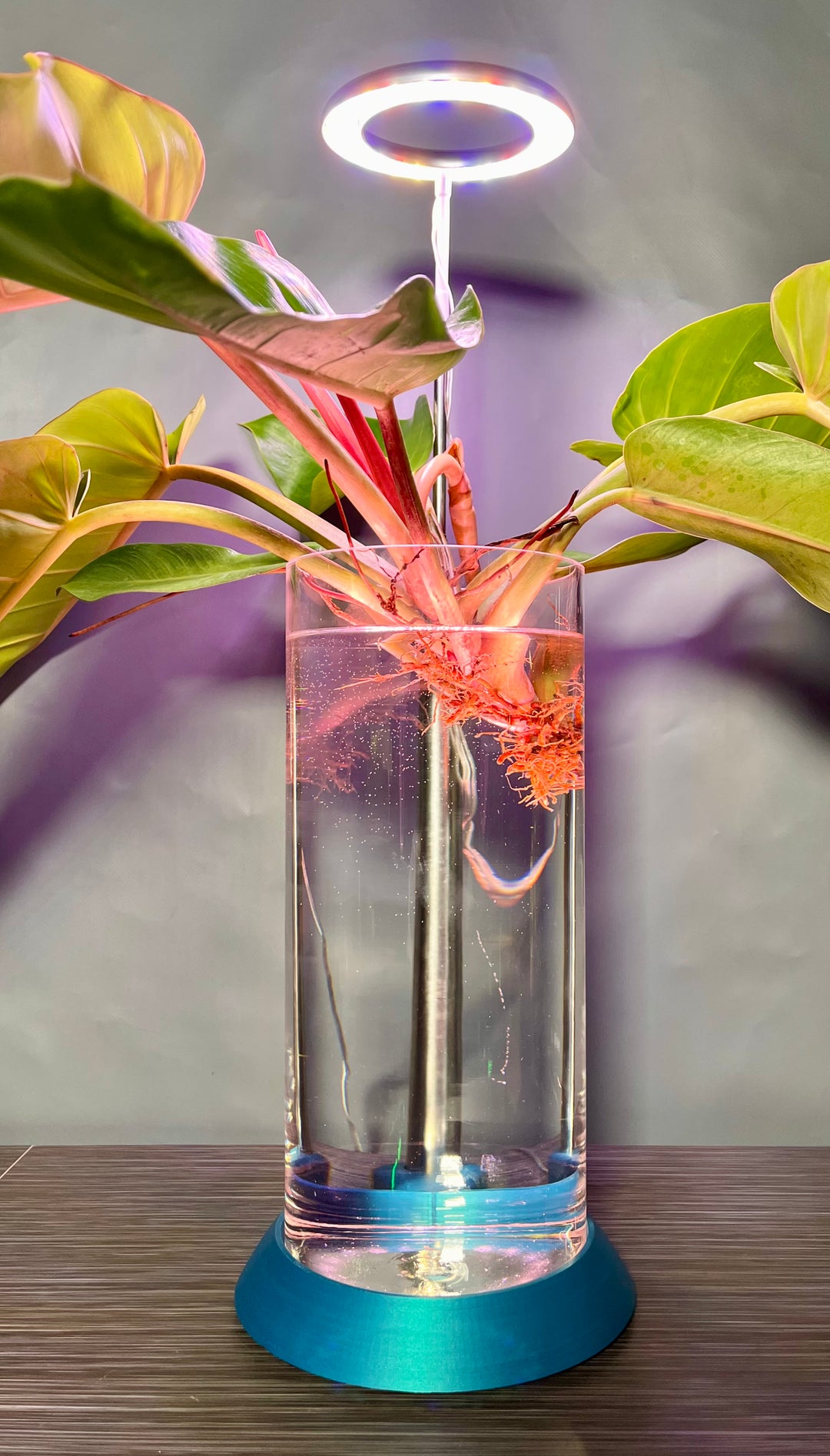 NEW! Plant Daddy G2 Base-Hydro light or with (optional) overhead light   Free Freight