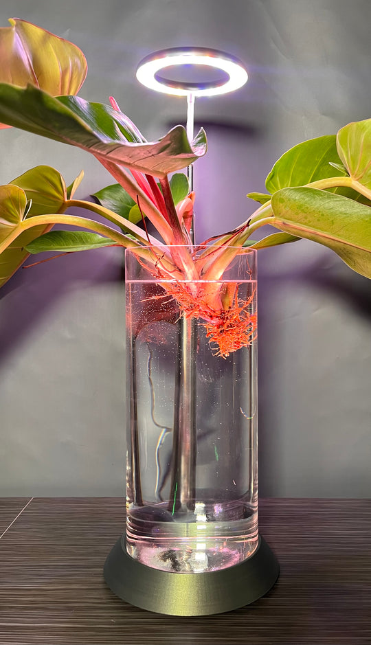 NEW! Plant Daddy G2 Base-Hydro light or with (optional) overhead light   Free Freight