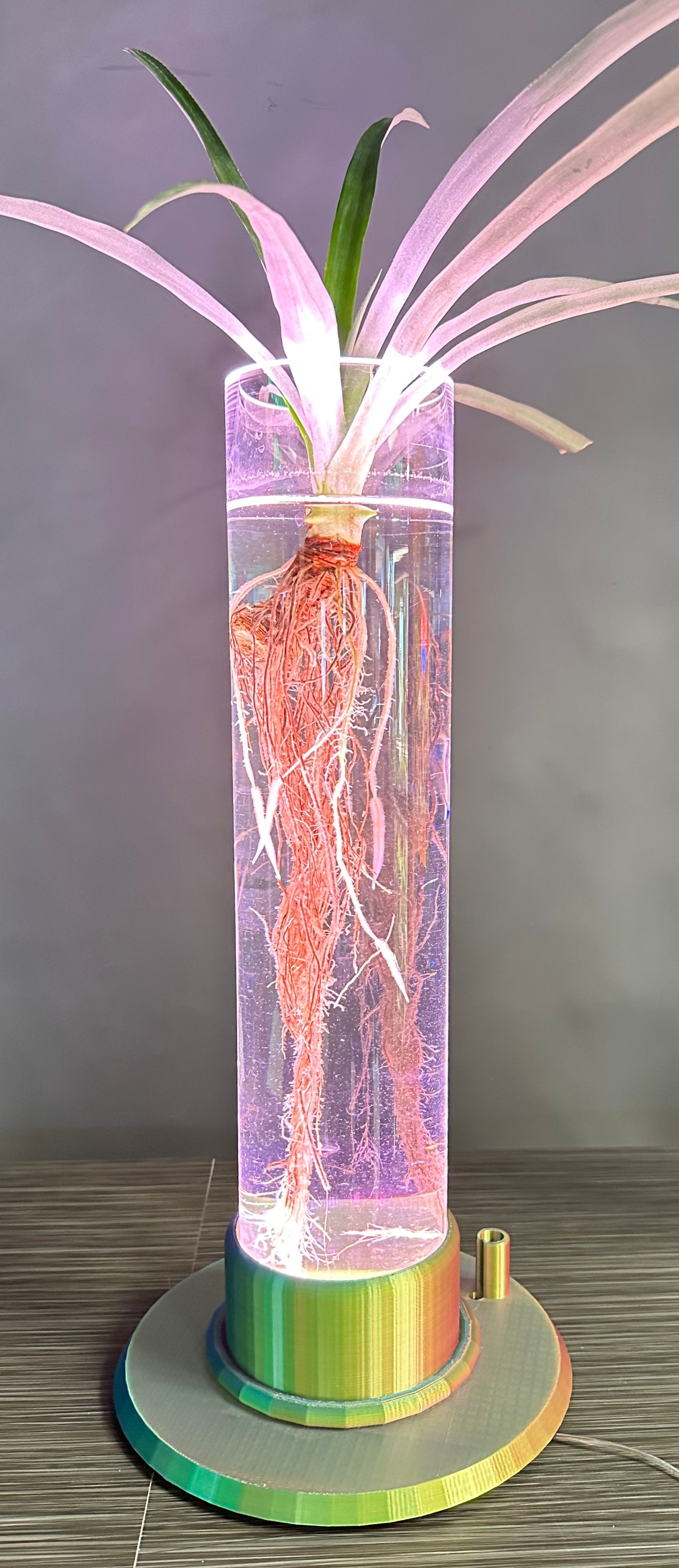 ITEM #  023 Green, Blue, Fuchsia, Gold Blend 3-D Printed Hydro Base 4in opening, 4x18in cylinder vase, Hydro Light  -  $89.95 now $45.95 CLEARANCE ALL SALES FINAL!