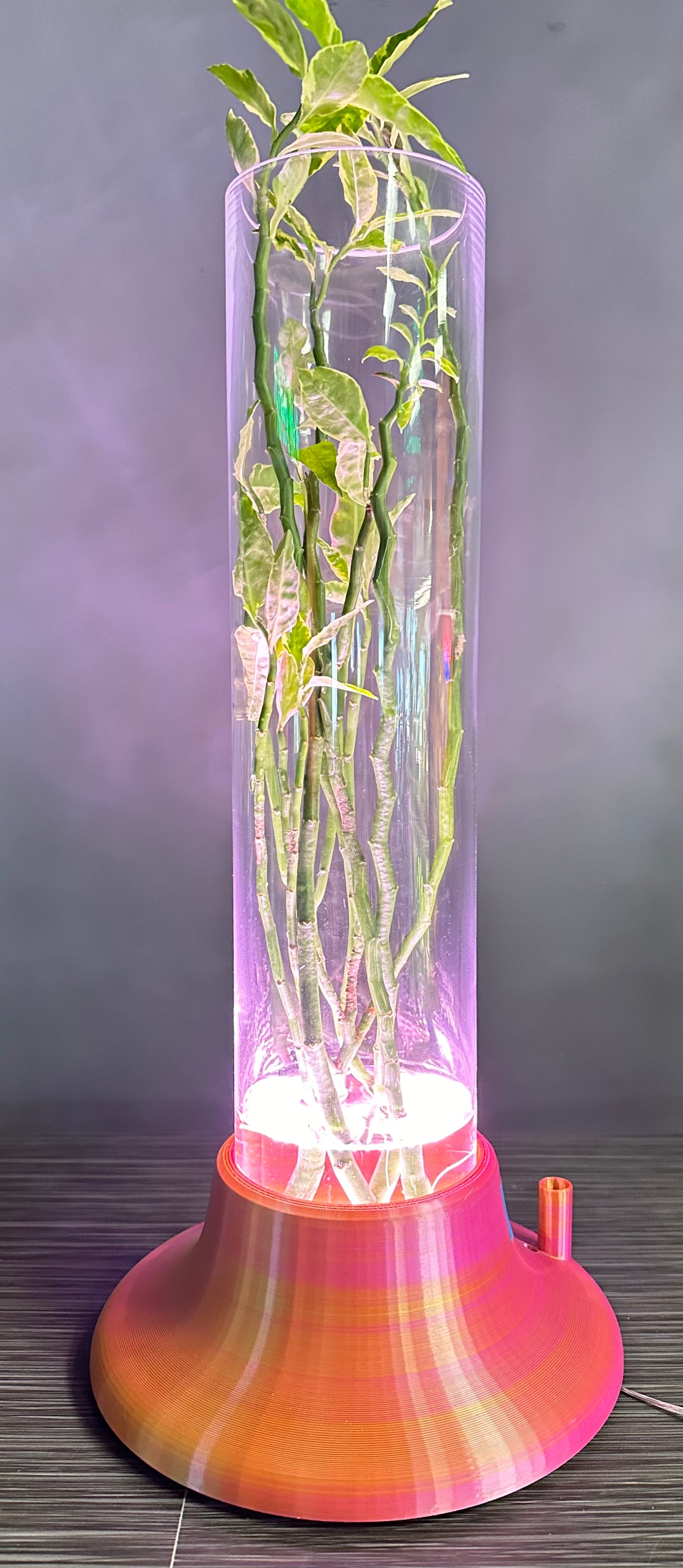 ITEM #  028  Orange, Fuchsia, Yellow 3-D Printed Hydro Base 4in opening, 4x18in cylinder, Hydro Light  -  $94.95 now $47.95 CLEARANCE ALL SALES FINAL! $94.95 Now $47..95