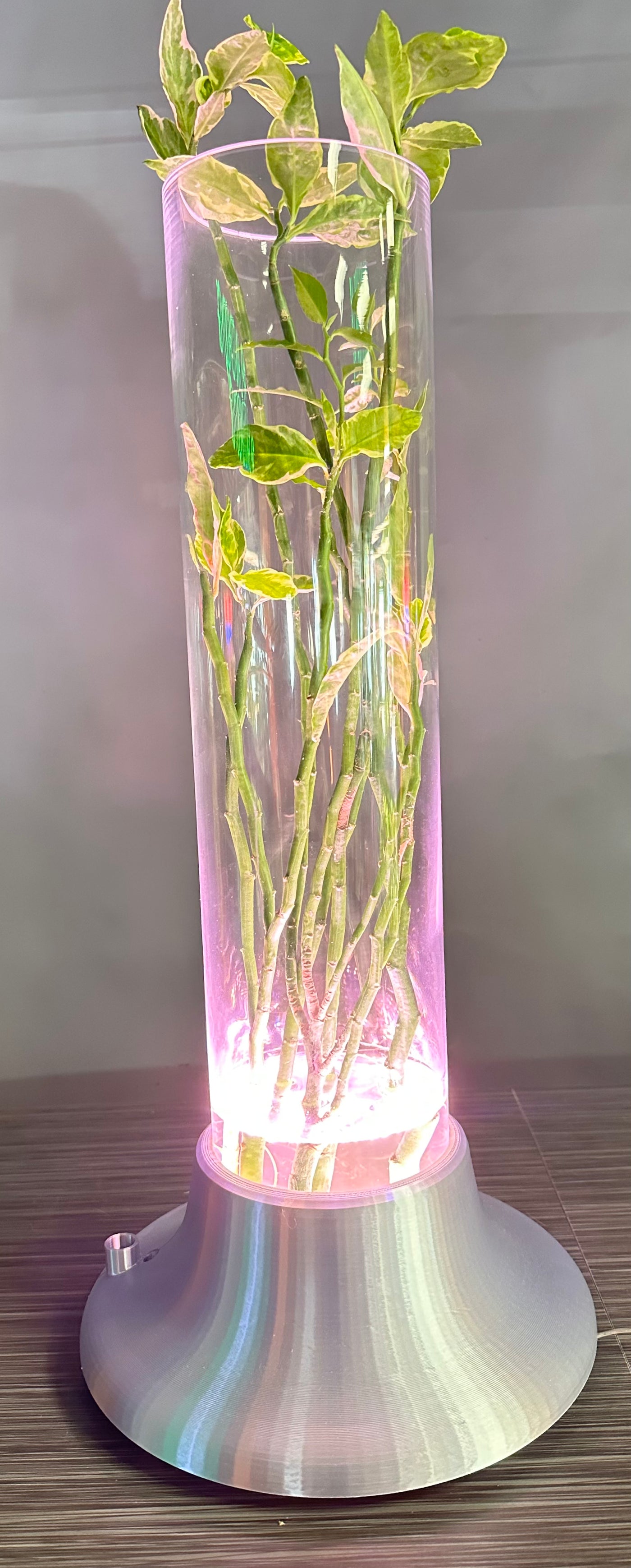 ITEM #  017  Silver 3-D Printed Hydro Base 4in opening, 4x18in glass cylinder, Hydro Light  -  $94.95 now $47.95 CLEARANCE ALL SALES FINAL!