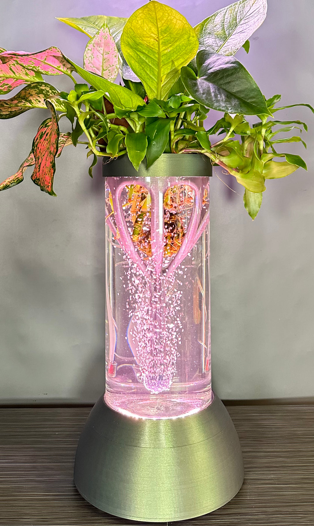 PLANT DADDY GRO G2 - Starlite Aurora Green - SUMMER SALE $30 OFF & FREE FREIGHT ON THIS PRODUCT (Ships in 3 -5 days)