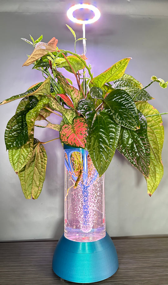 PLANT DADDY GRO G2 - Neptune Blue - SUMMER SALE $30 OFF - FREE FREIGHT ON THIS PRODUCT (Ships in 3 -5 days)