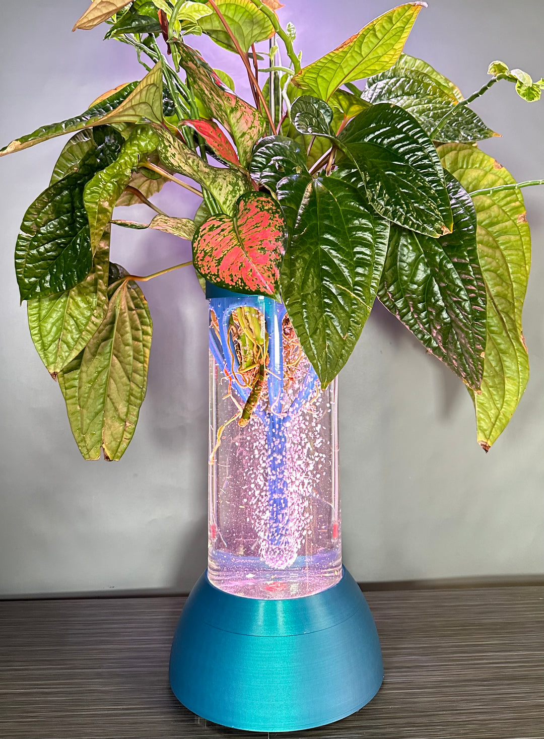 PLANT DADDY GRO G2 - Neptune Blue - SUMMER SALE $30 OFF - FREE FREIGHT ON THIS PRODUCT (Ships in 3 -5 days)