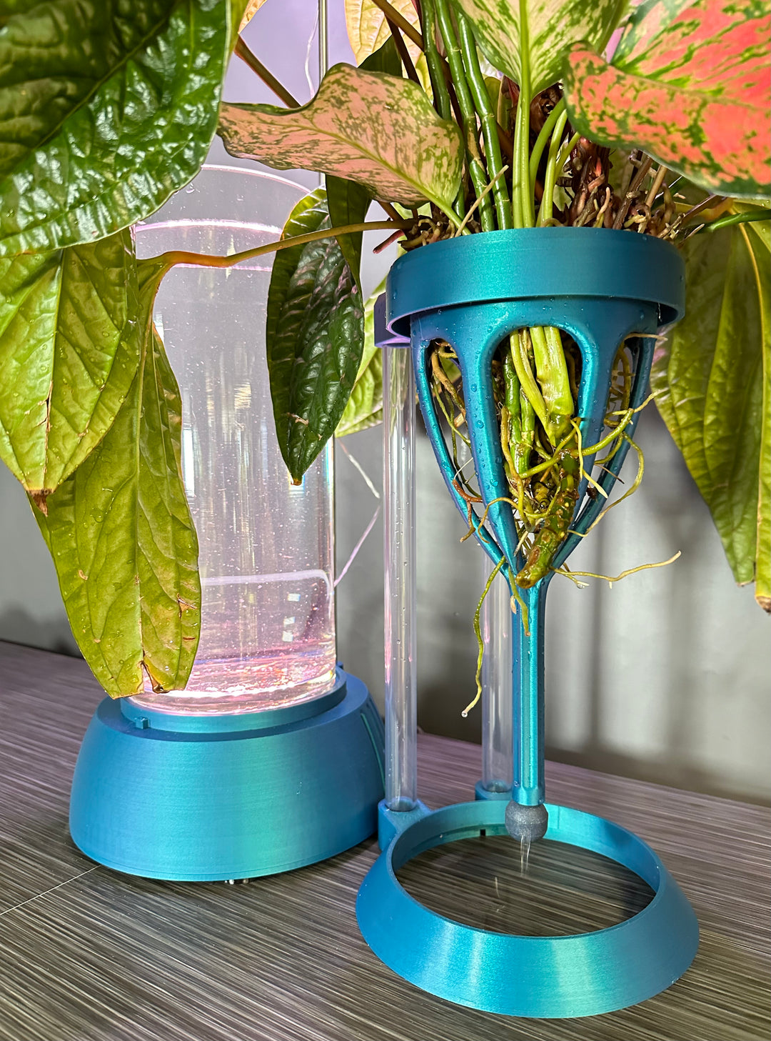 PLANT DADDY GRO G2 - Neptune Blue - SUMMER SALE $30 OFF - FREE FREIGHT ON THIS PRODUCT (Ships in 3 -5 days)