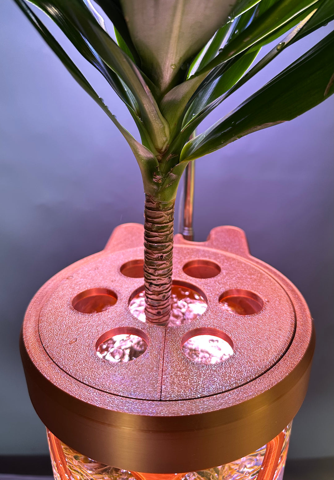 PLANT DADDY GRO G2 - Copper - SUMMER SALE $30 OFF - FREE FREIGHT ON THIS PRODUCT (Ships in 3 -5 days)