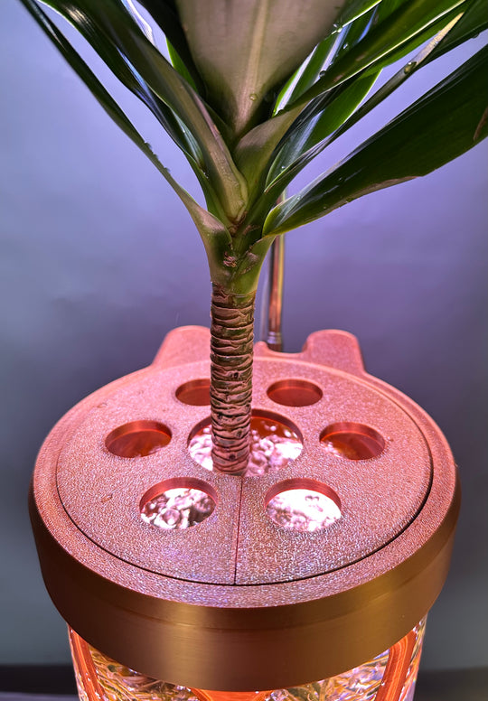 PLANT DADDY GRO G2 - Copper - SUMMER SALE $30 OFF - FREE FREIGHT ON THIS PRODUCT (Ships in 3 -5 days)