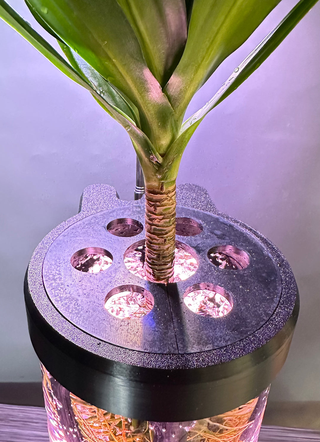 PLANT DADDY GRO G2 - Black - SUMMER SALE $30 OFF - FREE FREIGHT ON THIS PRODUCT (Ships in 3 -5 days)