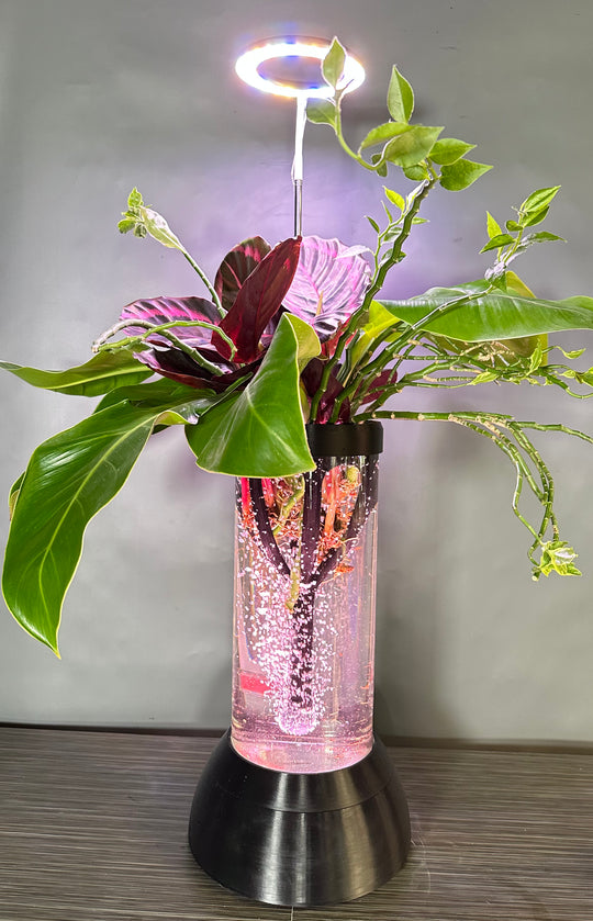 PLANT DADDY GRO G2 - Black - SUMMER SALE $30 OFF - FREE FREIGHT ON THIS PRODUCT (Ships in 3 -5 days)