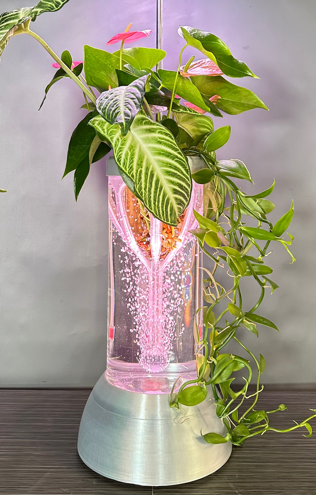 PLANT DADDY GRO G2 - Silver - SUMMER SALE $30 OFF! & FREE FREIGHT (Ships in 3 -5 days)