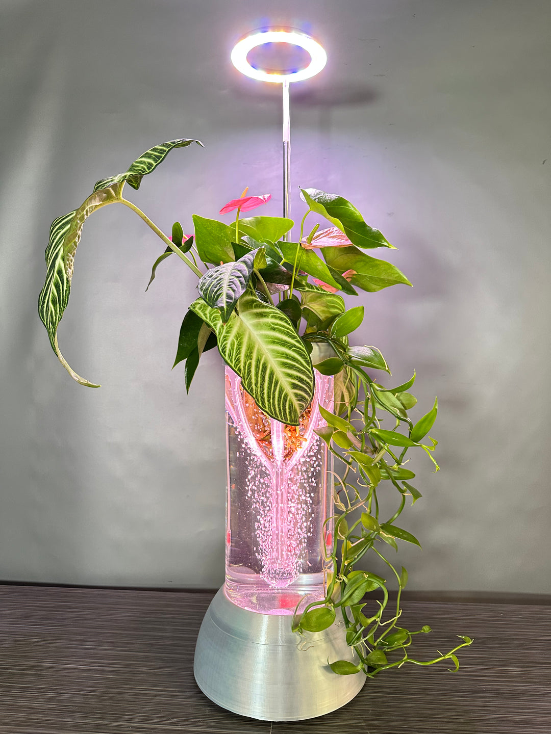 PLANT DADDY GRO G2 - Silver - SUMMER SALE $30 OFF! & FREE FREIGHT (Ships in 3 -5 days)