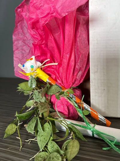 Plant Pop! 2in Hoya Eskimo Dressed Up in Colored Tissue - Back to School or Birthday Theme With Card Message - Free Shipping