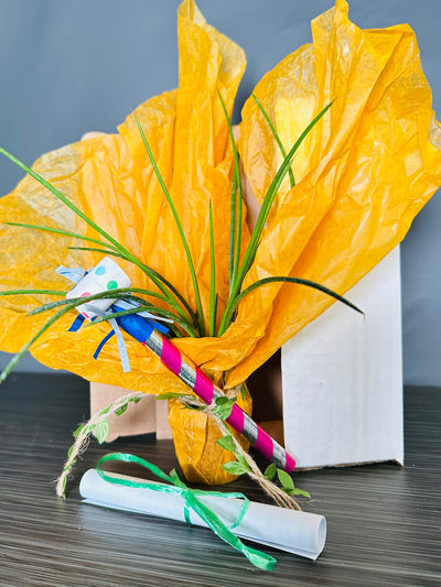 Plant Pop!  2in Agave Geminiflora Plant Dressed Up in Colored Tissue - Back to School or Birthday Theme With Card Message - Free Shipping