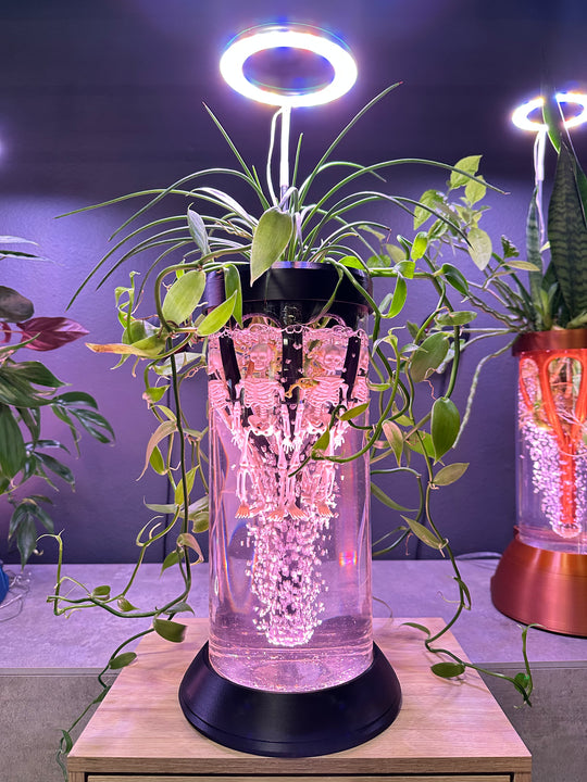 SALE!!    PLANT DADDY GRO G2-PS (PLANT STAND) System - Black - FREE FREIGHT ON THIS PRODUCT (Ships in 3 -5 days)