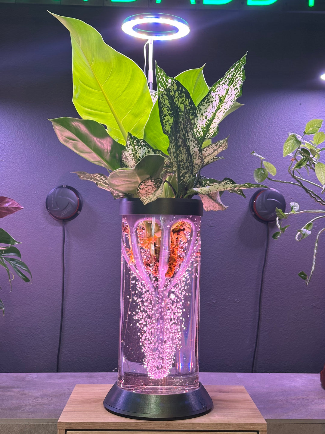 NEW! PLANT DADDY GRO G2-Base Drop In Crib System (does not offer plant stand)  FREE FREIGHT ON THIS PRODUCT (Ships in 3 -5 days)