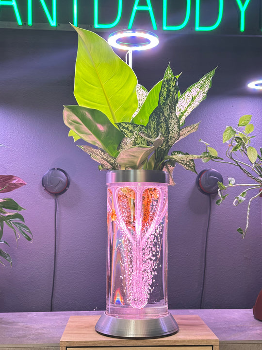 SALE!!    PLANT DADDY GRO G2-PS (PLANT STAND) System - Silver - FREE FREIGHT ON THIS PRODUCT (Ships in 3 -5 days)