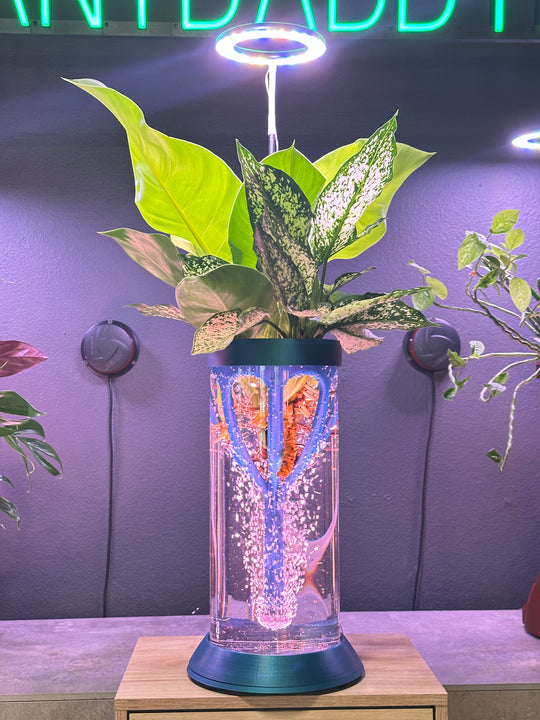 SALE!!    PLANT DADDY GRO G2-PS (PLANT STAND) System - Neptune Blue - FREE FREIGHT ON THIS PRODUCT (Ships in 3 -5 days)