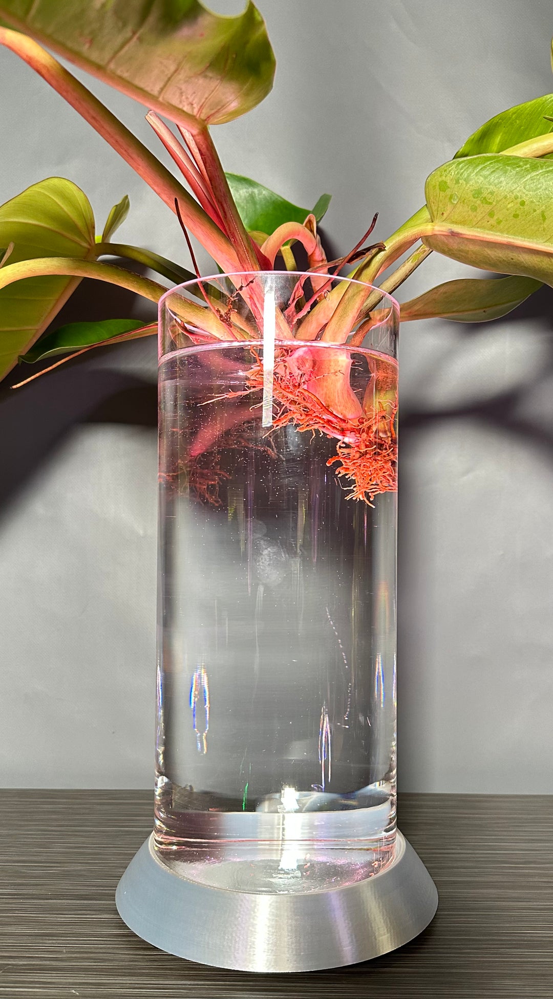 NEW! Plant Daddy G2 Base-Hydro light or with (optional) overhead light   Free Freight