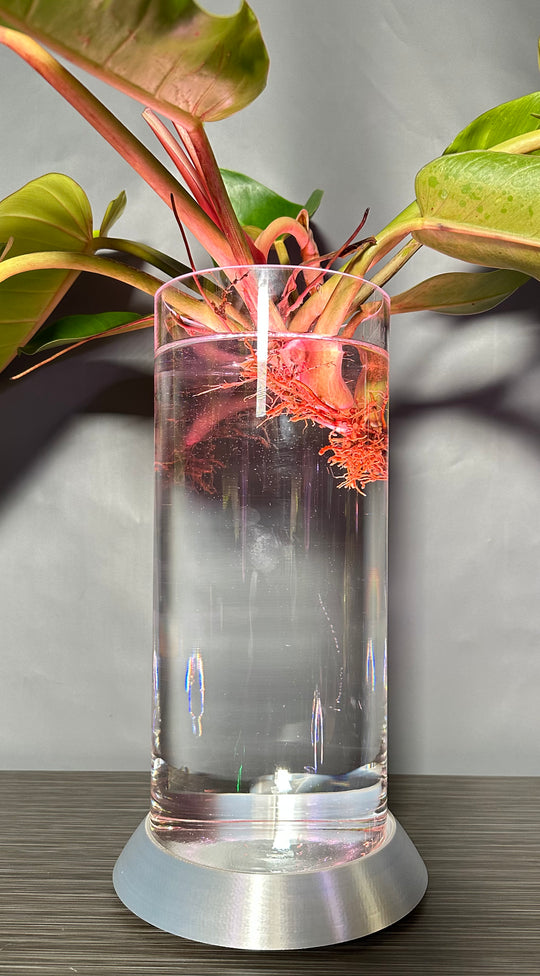 NEW! Plant Daddy G2 Base-Hydro light or with (optional) overhead light   Free Freight