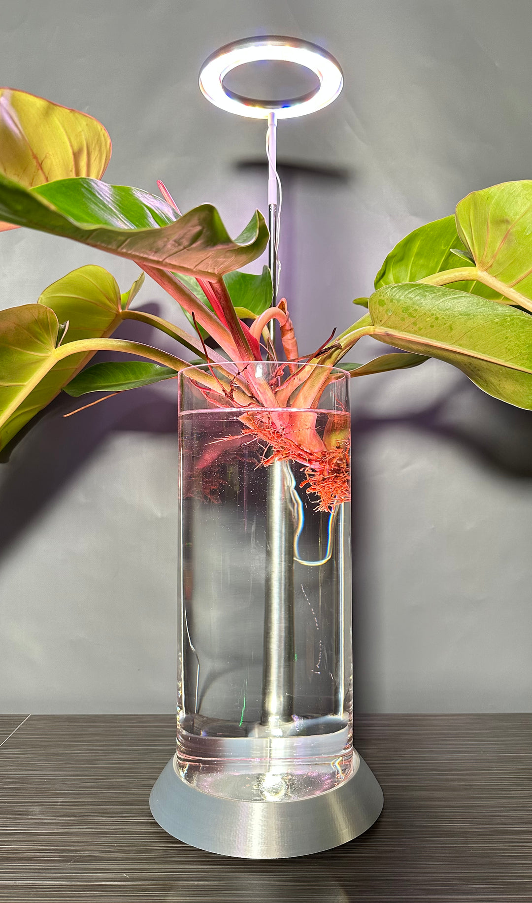 NEW! Plant Daddy G2 Base-Hydro light or with (optional) overhead light   Free Freight