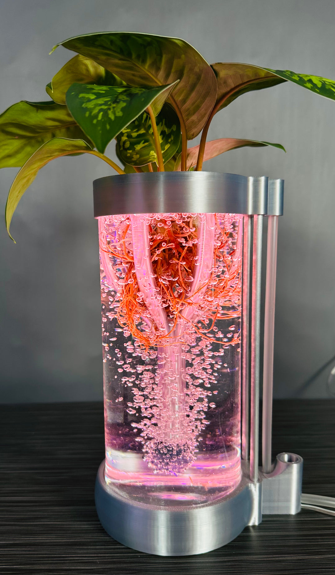 PLANT DADDY GRO G2-SQUIRT Desk Top Hydroponic System (With Plant Stand) – FREE FREIGHT – LAUNCH SALE: Save $10 (Now $89.95, Was $99.95)