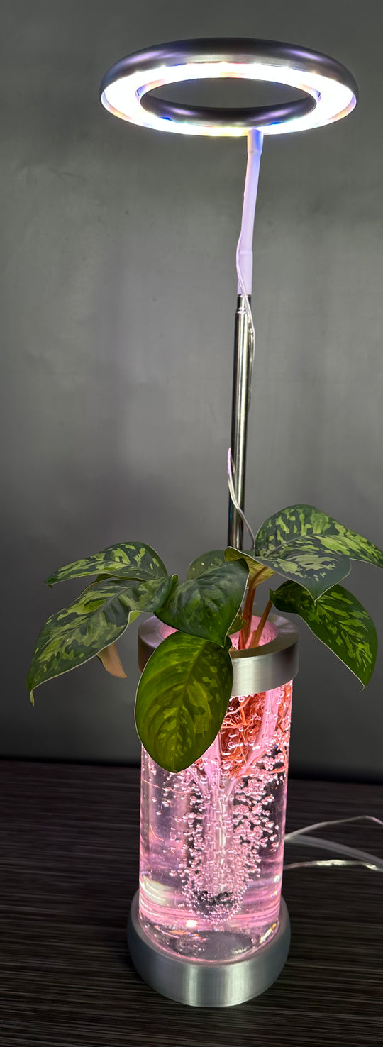 PLANT DADDY GRO G2-SQUIRT Desk Top Hydroponic System (With Plant Stand) – FREE FREIGHT – LAUNCH SALE: Save $10 (Now $89.95, Was $99.95)