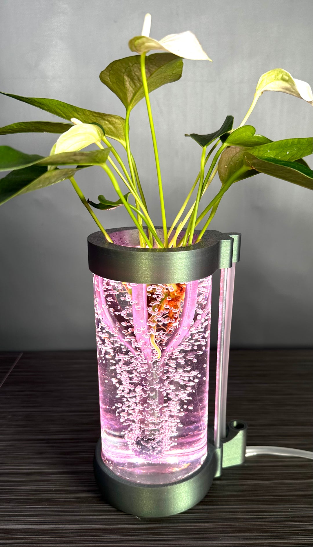 PLANT DADDY GRO G2-SQUIRT Desk Top Hydroponic System (With Plant Stand) – FREE FREIGHT – LAUNCH SALE: Save $10 (Now $89.95, Was $99.95)