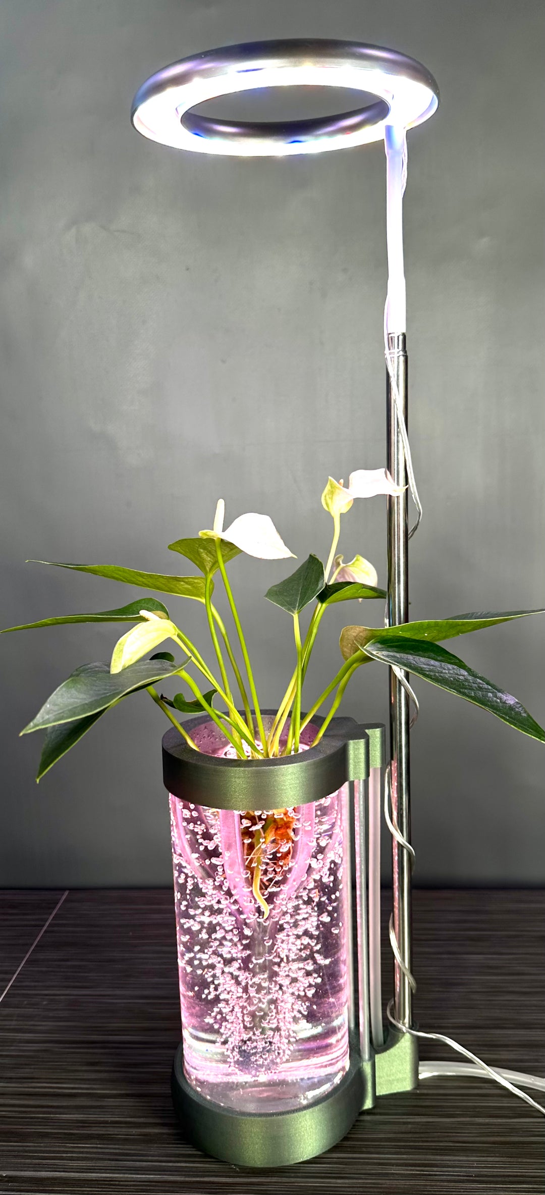 PLANT DADDY GRO G2-SQUIRT Desk Top Hydroponic System (With Plant Stand) – FREE FREIGHT – LAUNCH SALE: Save $10 (Now $89.95, Was $99.95)