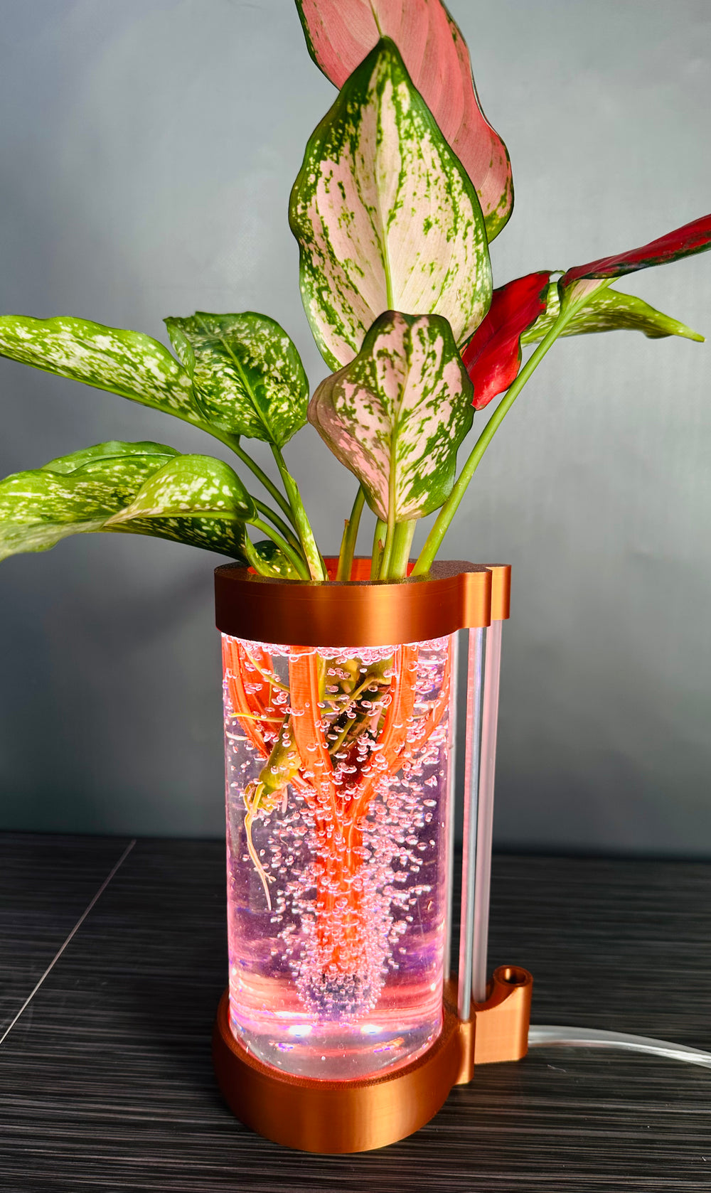 PLANT DADDY GRO G2-SQUIRT Desk Top Hydroponic System (With Plant Stand) – FREE FREIGHT – LAUNCH SALE: Save $10 (Now $89.95, Was $99.95)