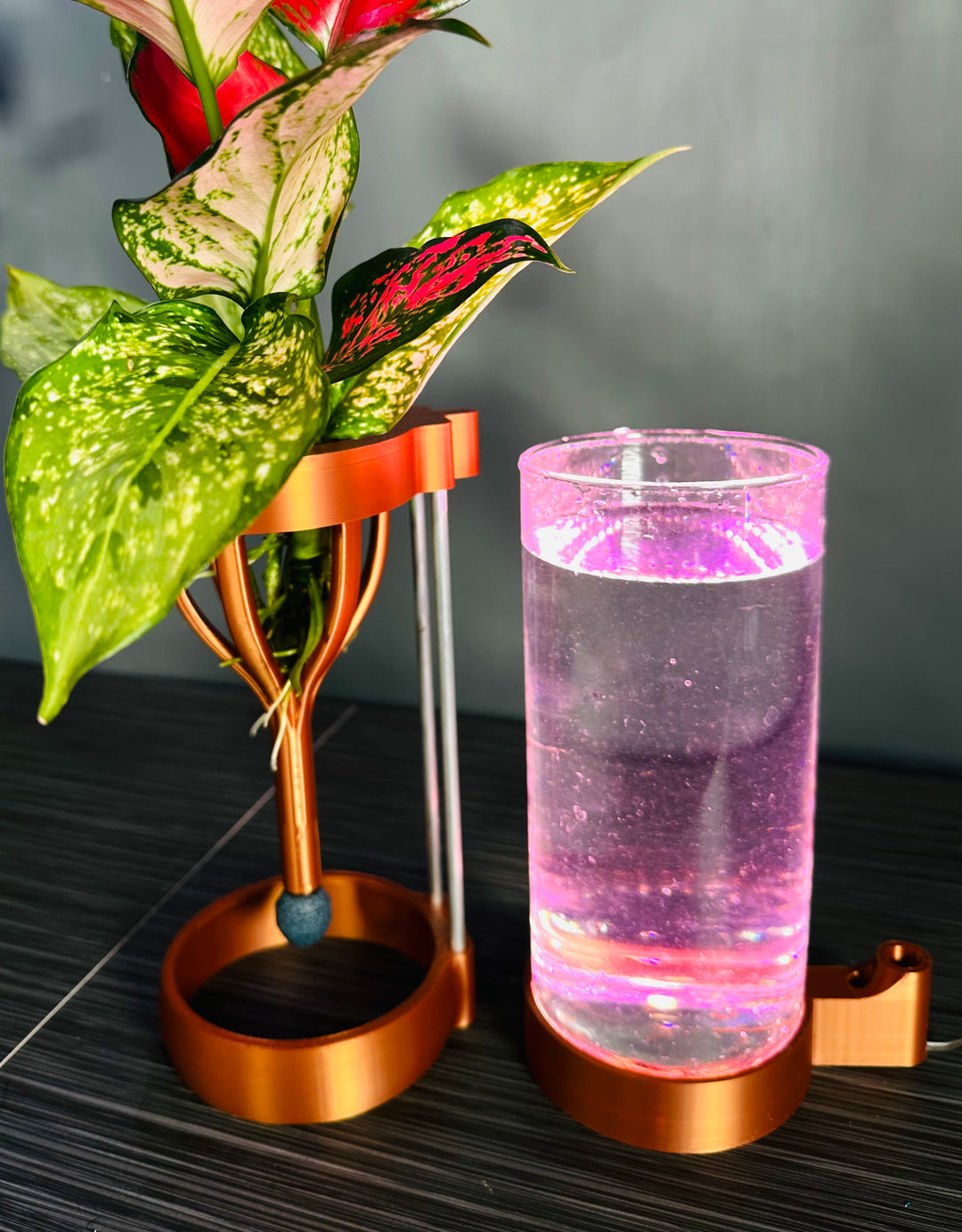 PLANT DADDY G2-SQUIRT 2 Pack Hydroponic System – One air pump drives 2 Units - LAUNCH SALE $10 OFF! ONLY $129.95 (Was $139.95) – FREE FREIGHT