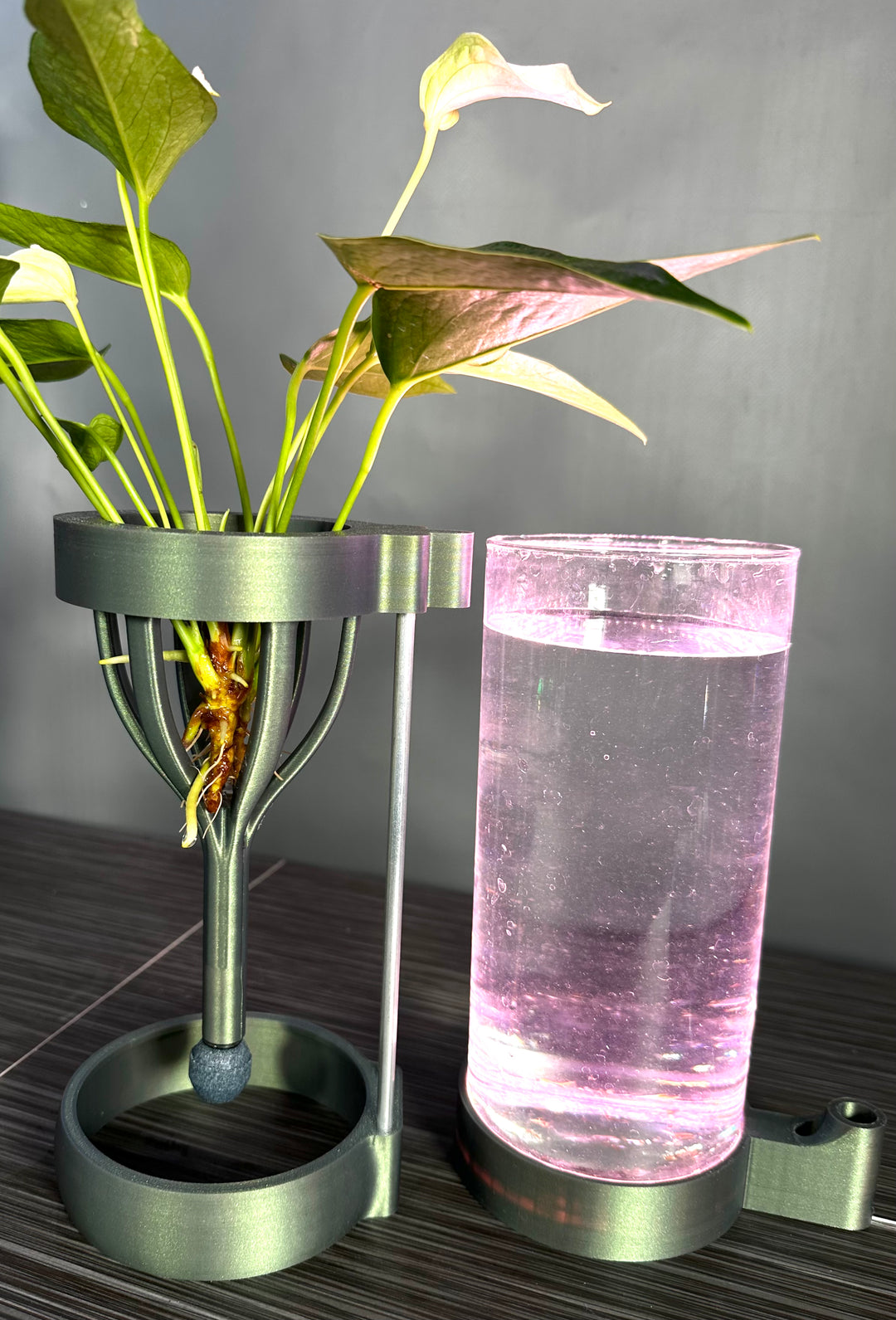 PLANT DADDY GRO G2-SQUIRT Desk Top Hydroponic System (With Plant Stand) – FREE FREIGHT – LAUNCH SALE: Save $10 (Now $89.95, Was $99.95)