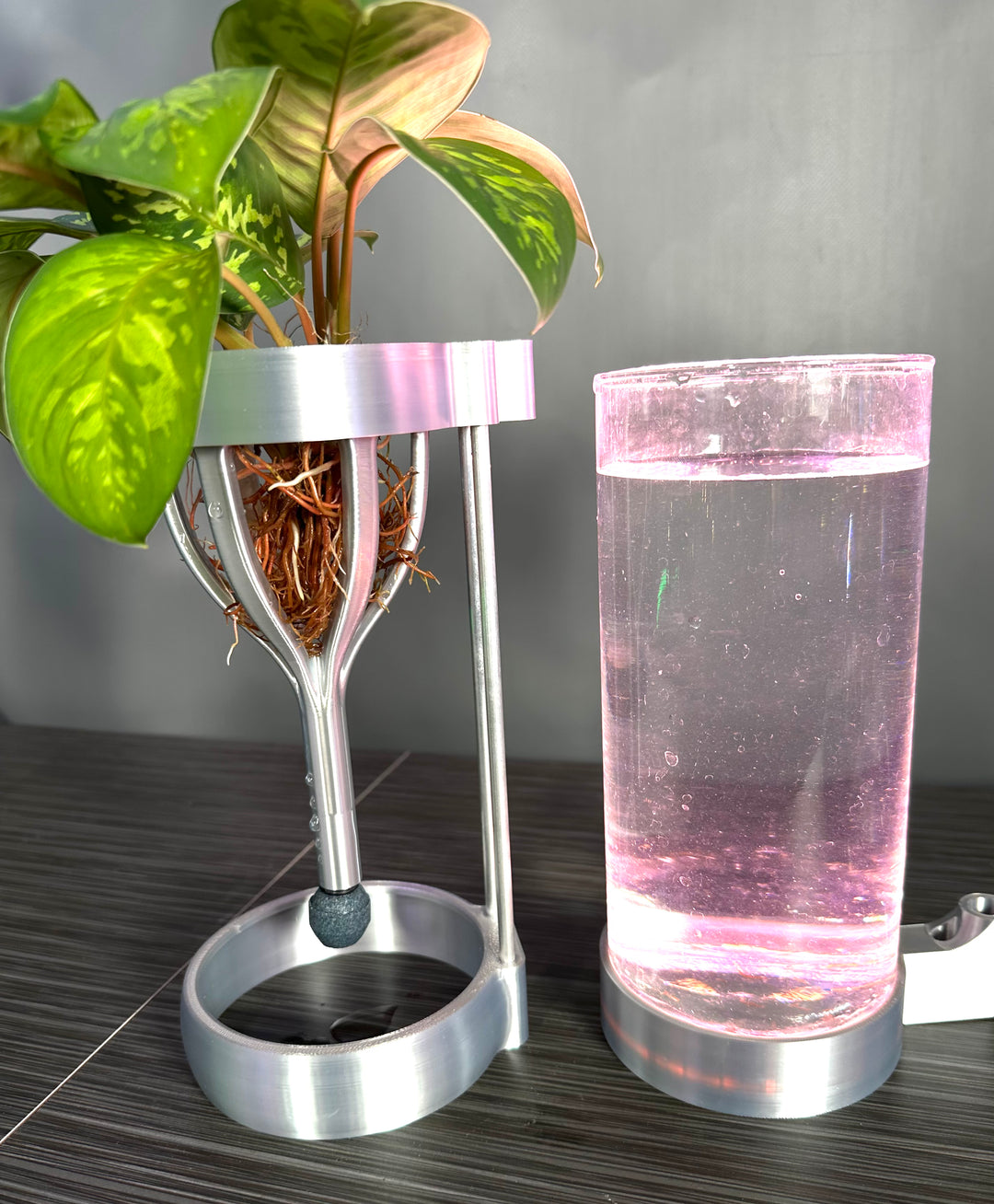 PLANT DADDY G2-SQUIRT 2 Pack Hydroponic System – One air pump drives 2 Units - LAUNCH SALE $10 OFF! ONLY $129.95 (Was $139.95) – FREE FREIGHT