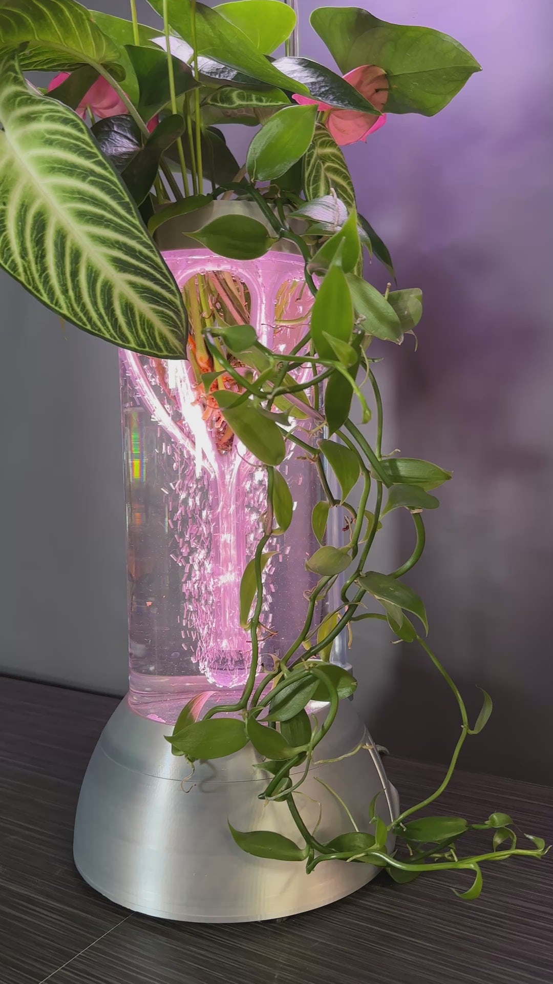 PLANT DADDY GRO G2 - Silver - SUMMER SALE $30 OFF! & FREE FREIGHT (Ships in 3 -5 days)