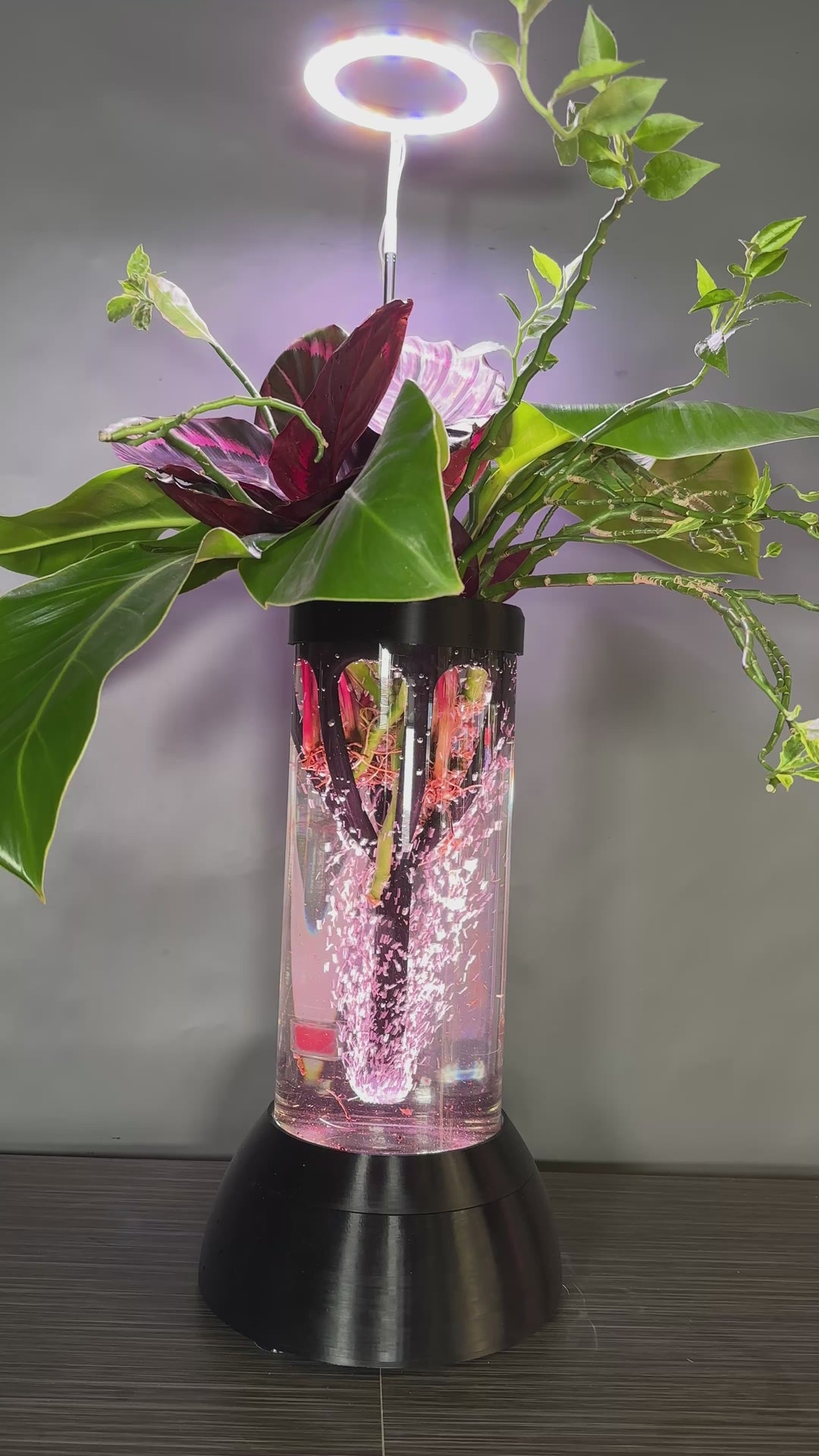 PLANT DADDY GRO G2 - Black - SUMMER SALE $30 OFF - FREE FREIGHT ON THIS PRODUCT (Ships in 3 -5 days)