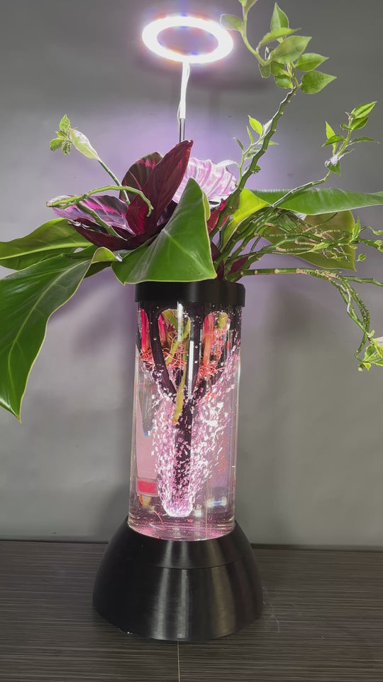 PLANT DADDY GRO G2 - Black - SUMMER SALE $30 OFF - FREE FREIGHT ON THIS PRODUCT (Ships in 3 -5 days)