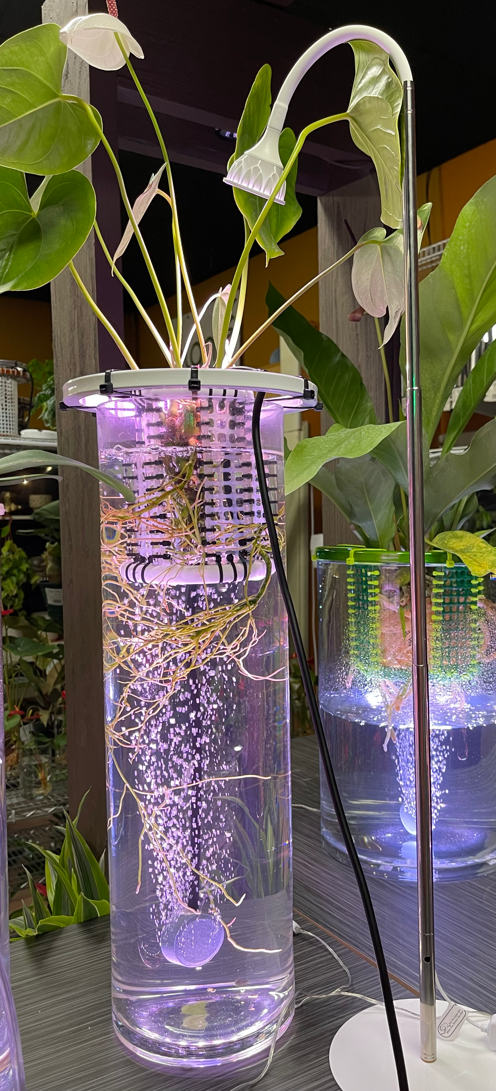 Plant Daddy LED Free Standing Plant Light With Timer, 21 Inch and 28 Inch, 3 - light modes, Dimmer