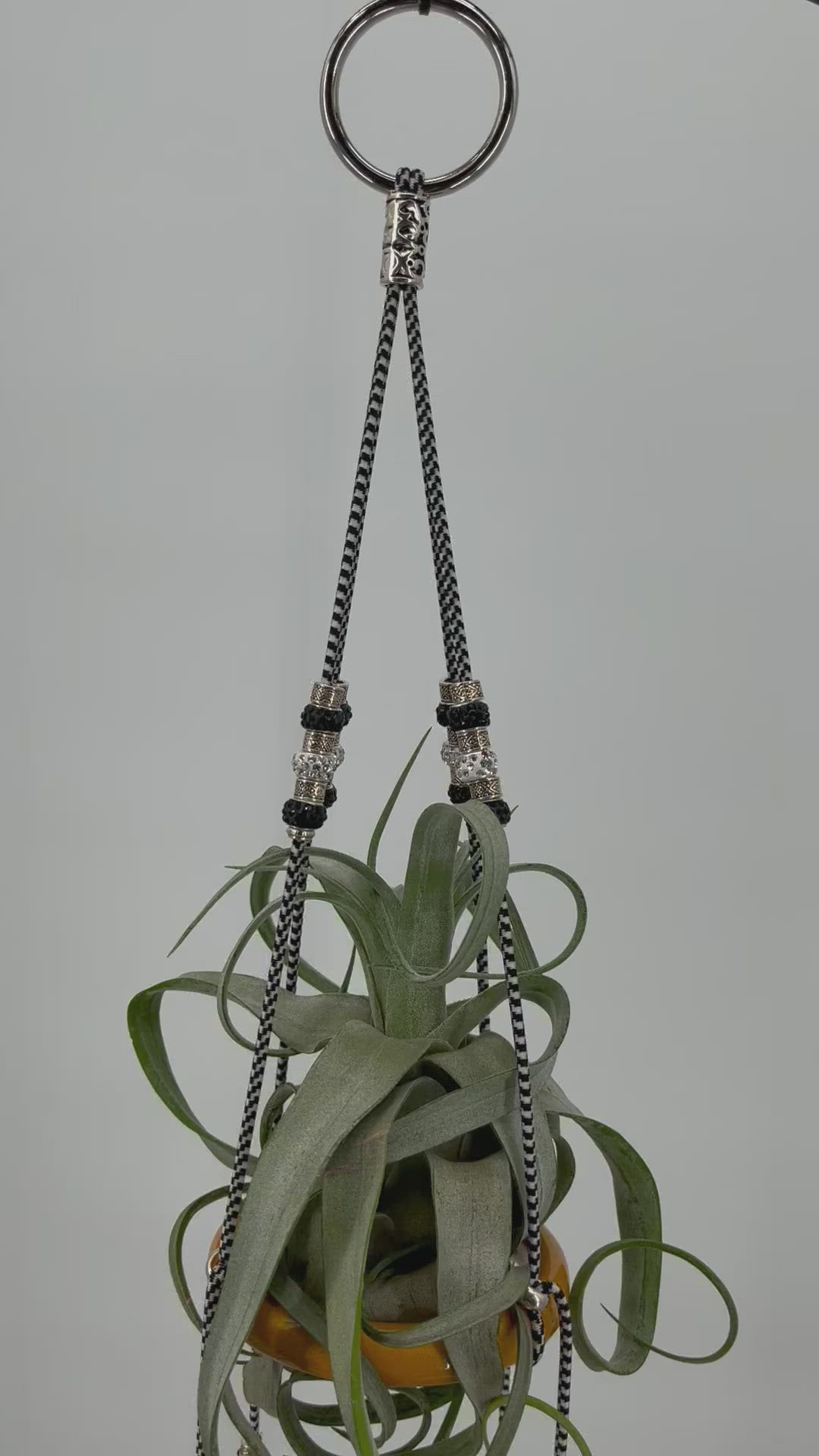 Plant Daddy Taxi Cab Sling - 2 Ring