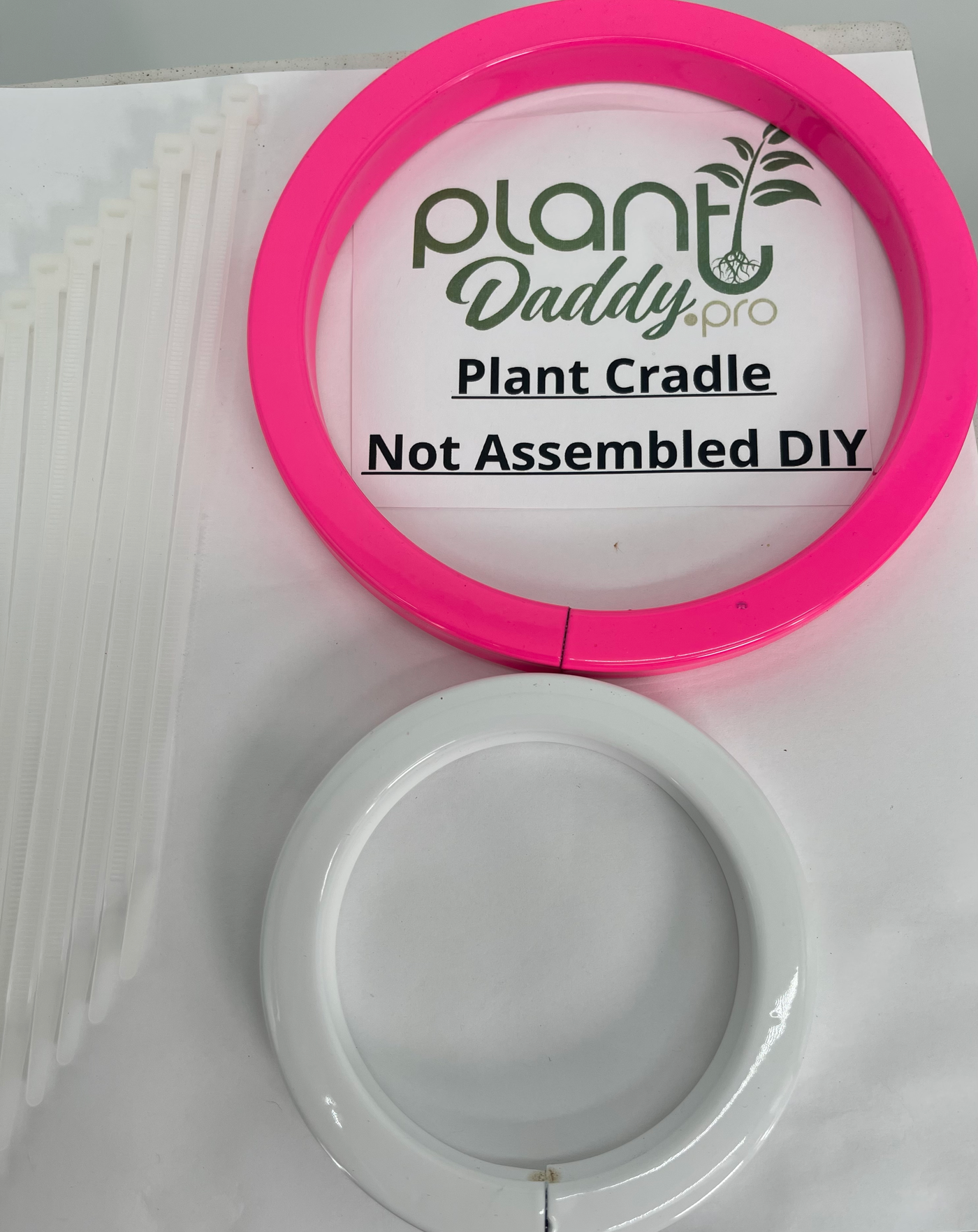 Plant Cradle 6in Pink Outer Ring with 3.5in White (2.50in opening) Inner Ring
