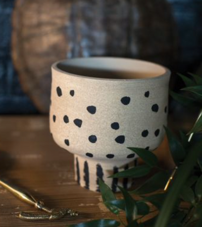 PlantDaddy Desert Compote Pot 4.5 Inch Opening